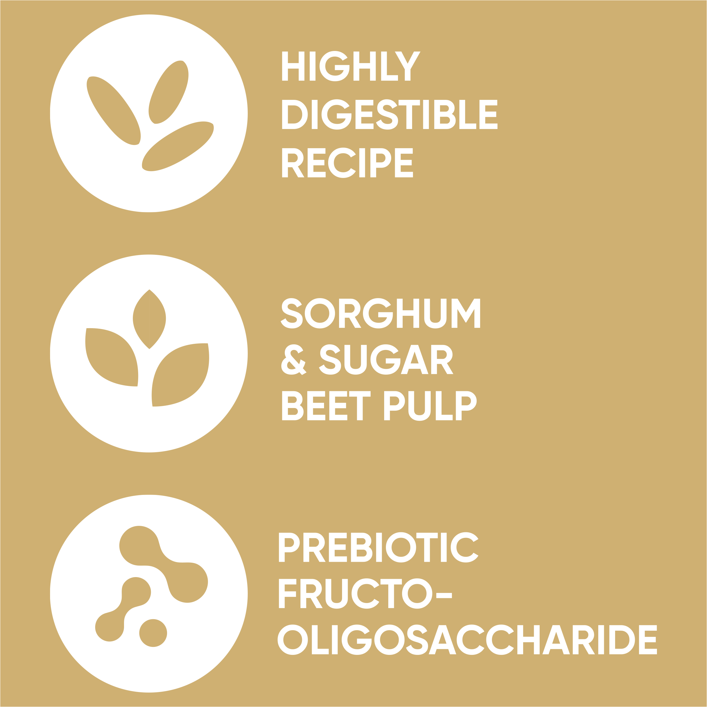 OPT PRO Digestive Health_CP