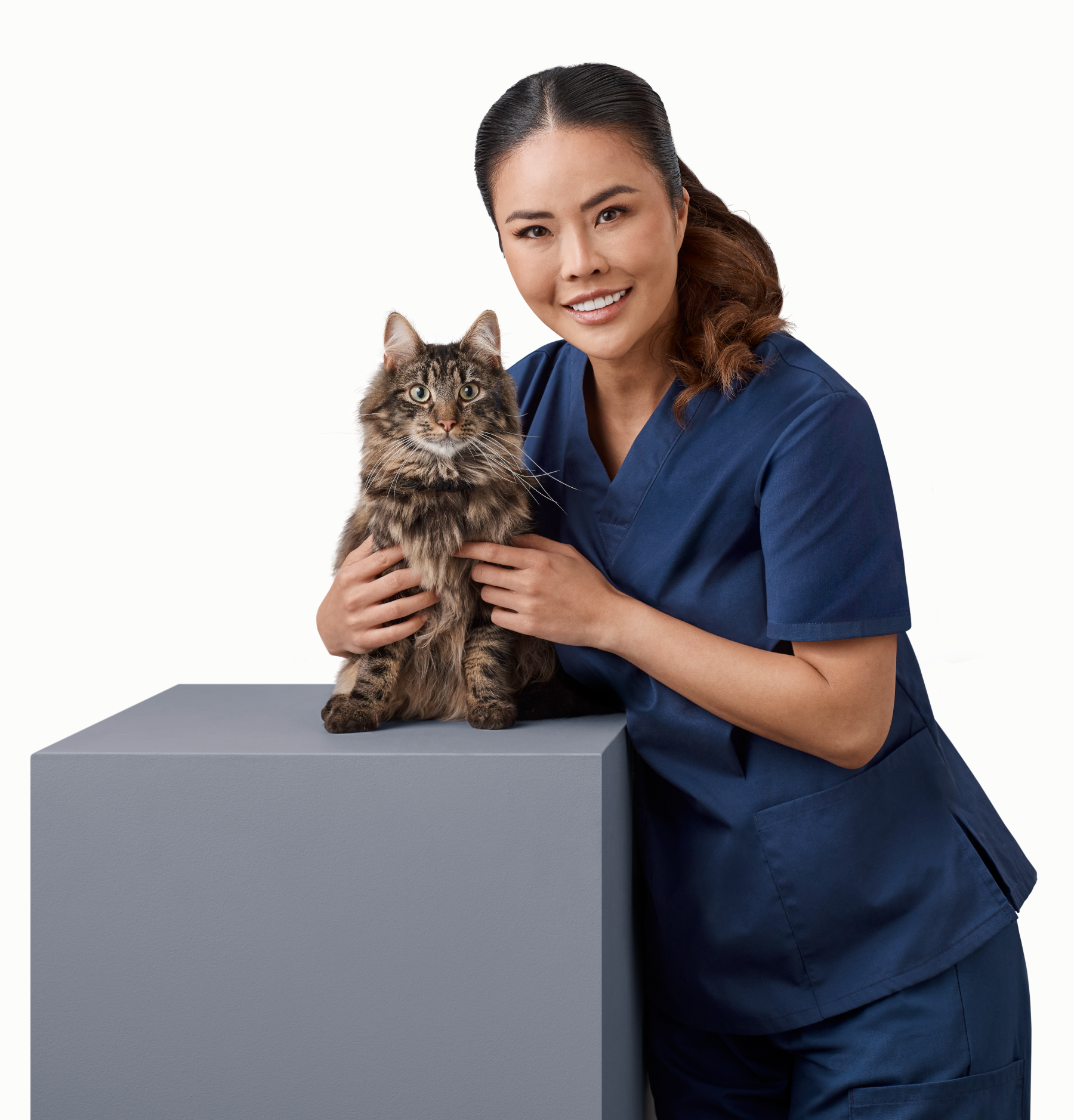 Optimum_Vet_Tiger