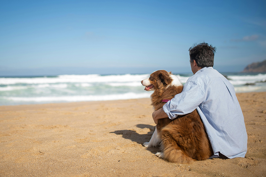 Managing Your Dog’s Weight