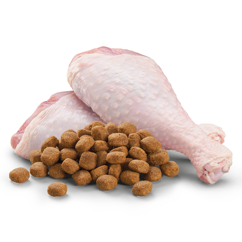 Adult Skin & Coat All Breed with Turkey Dry Dog Food - 3