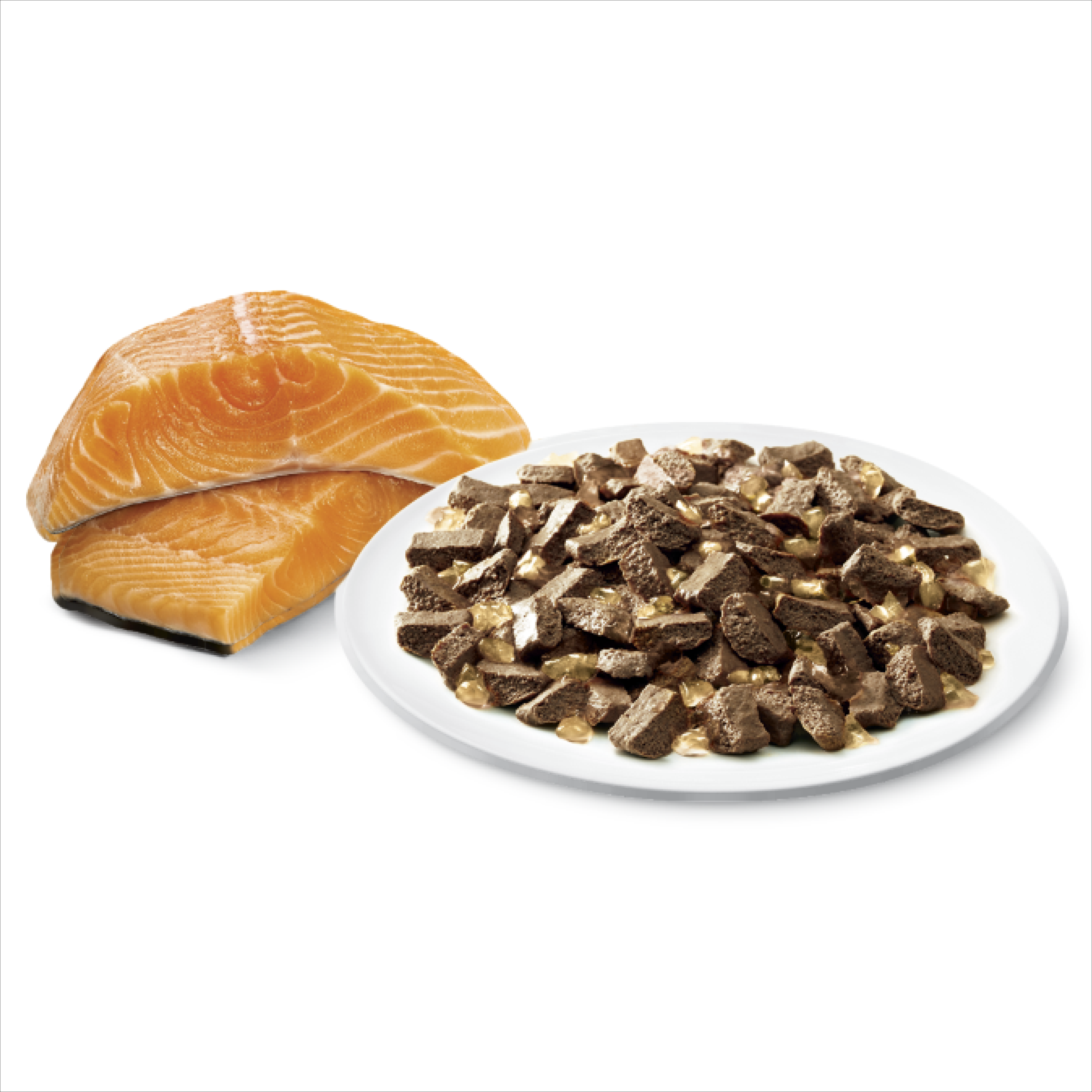 OPTIMUM™ Adult Skin & Coat Salmon Chunks In Jelly - 5