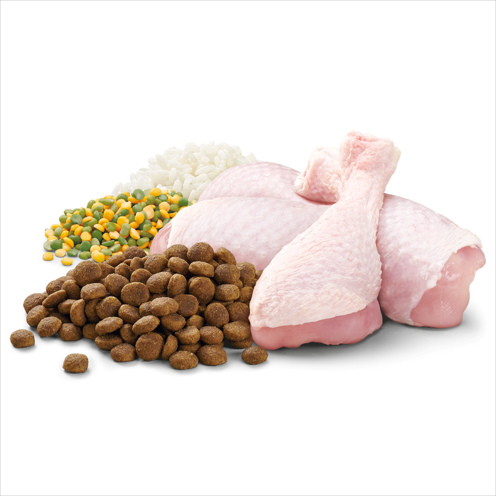 Chicken, vegetables and rice dry dog food