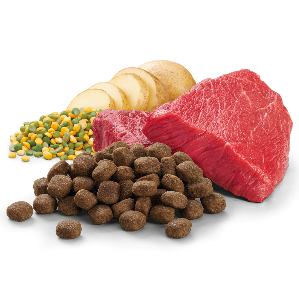 Beef and vegetables