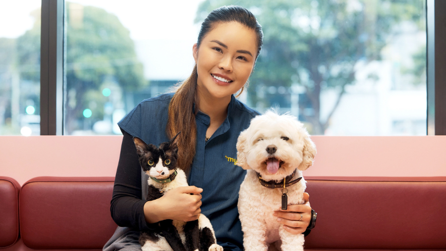 A veterinarian sitting on a bench holding a black and white cat and a white dog.