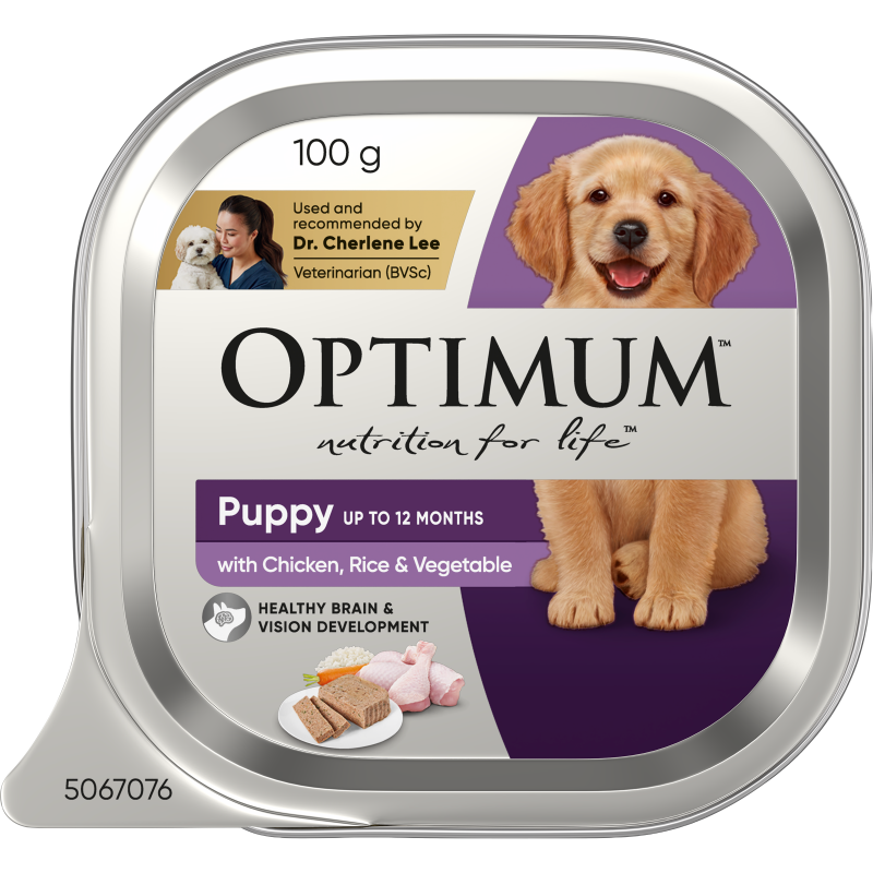 puppy wet dog food chicken rice vegetable tray