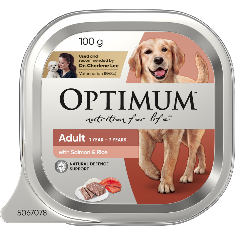 adult wet dog food with salmon
