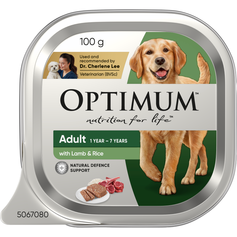 adult wet dog food with lamb