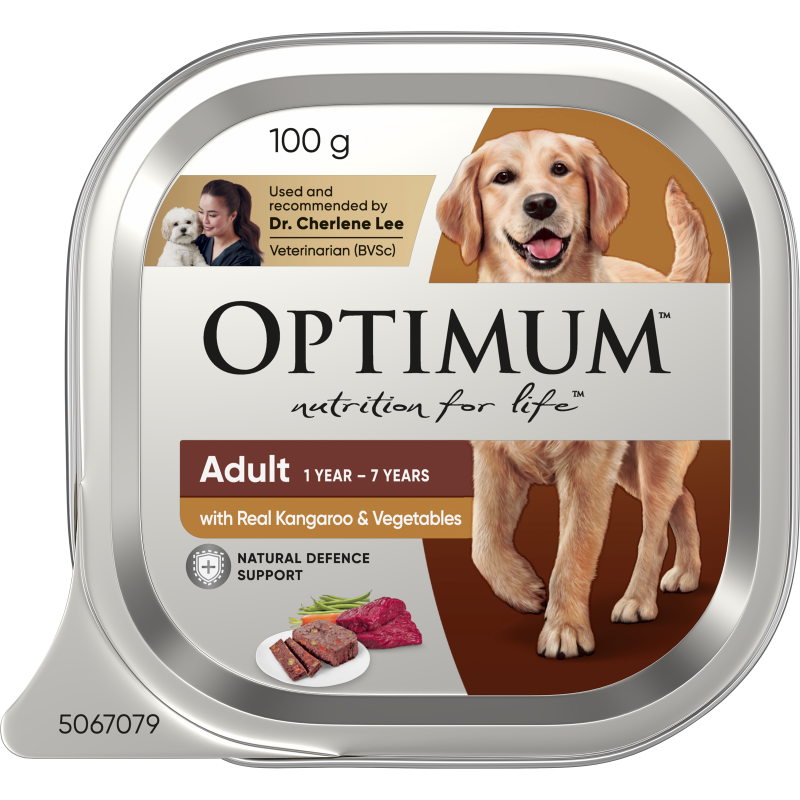 adult wet dog food with kangaroo