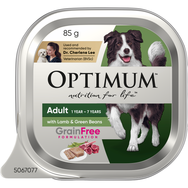 adult grain free wet dog food with lamb