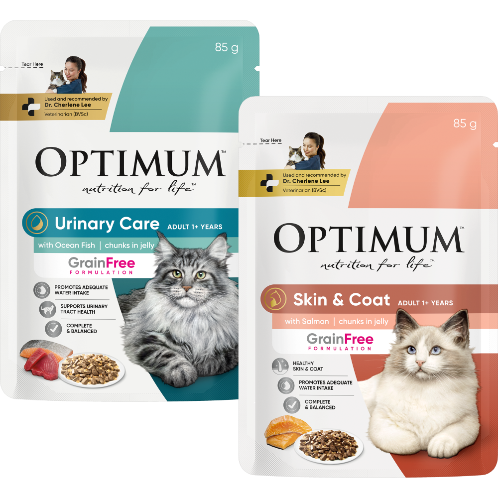 adult wet cat food for urinary care and skin and coat