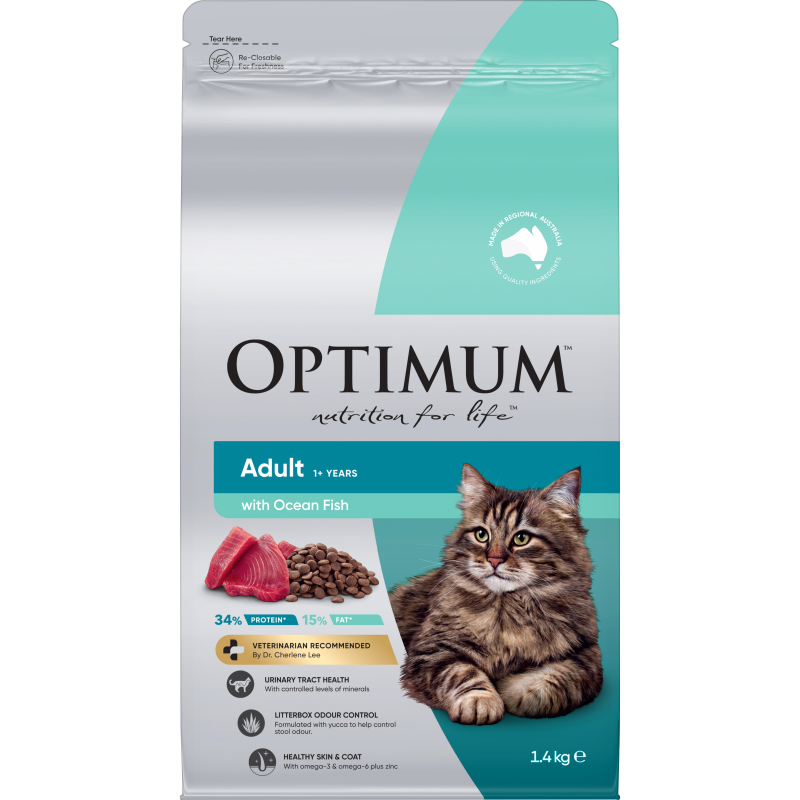 adult dry cat food with ocean fish