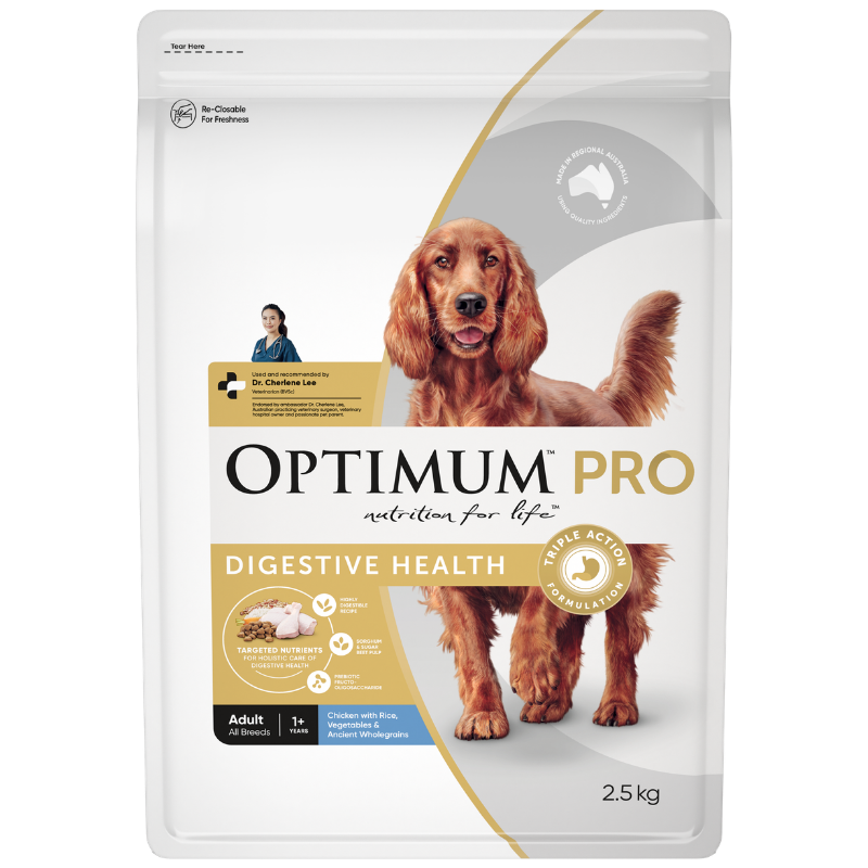 adult dry dog food for digestive health