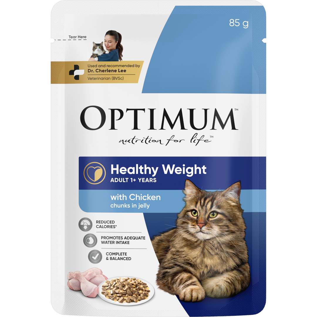 adult wet cat food for healthy weight with chicken