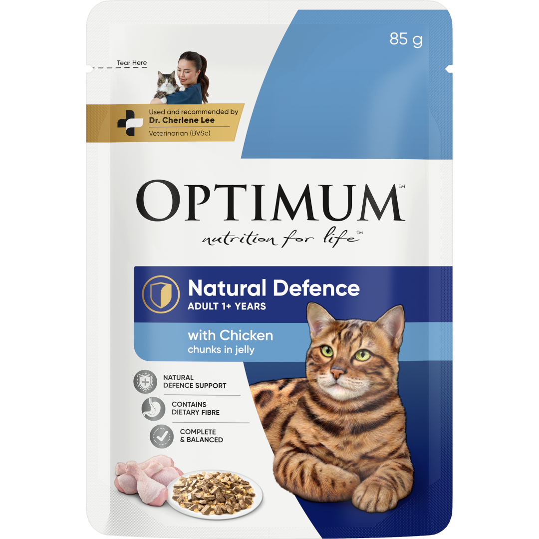 adult wet cat food for natural defences with chicken