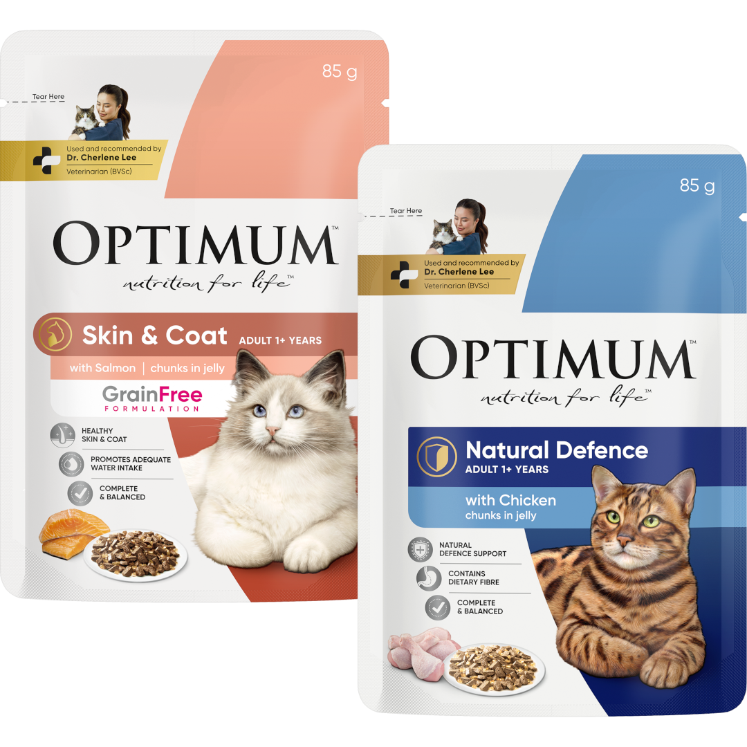 adult wet cat food for natural defences and skin and coat