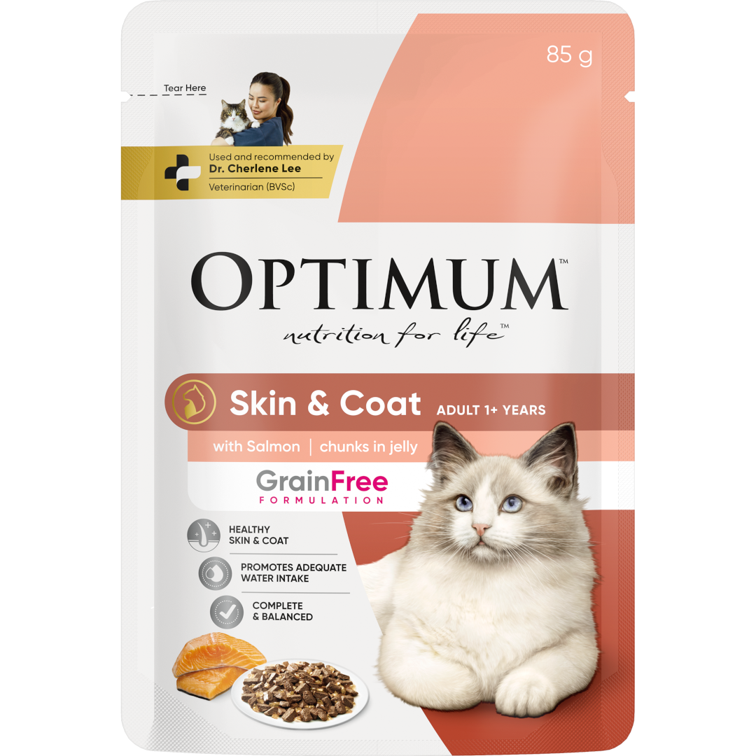 adult wet cat food for skin and coat with salmon