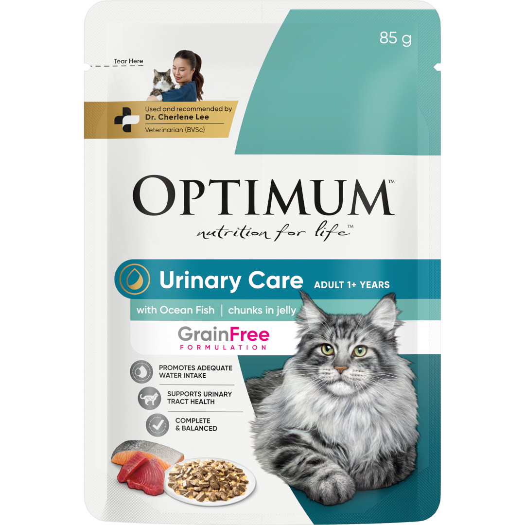 adult wet cat food for urinary care