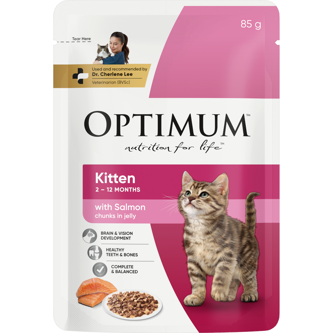 kitten wet cat food with salmon chunks in jelly