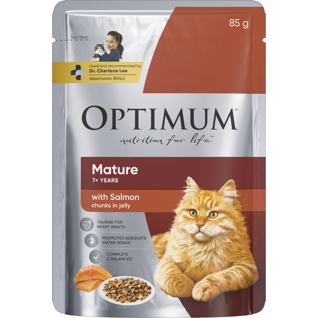 mature wet cat food with salmon in jelly
