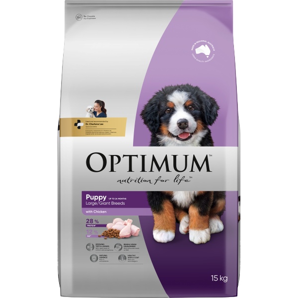 puppy large breed