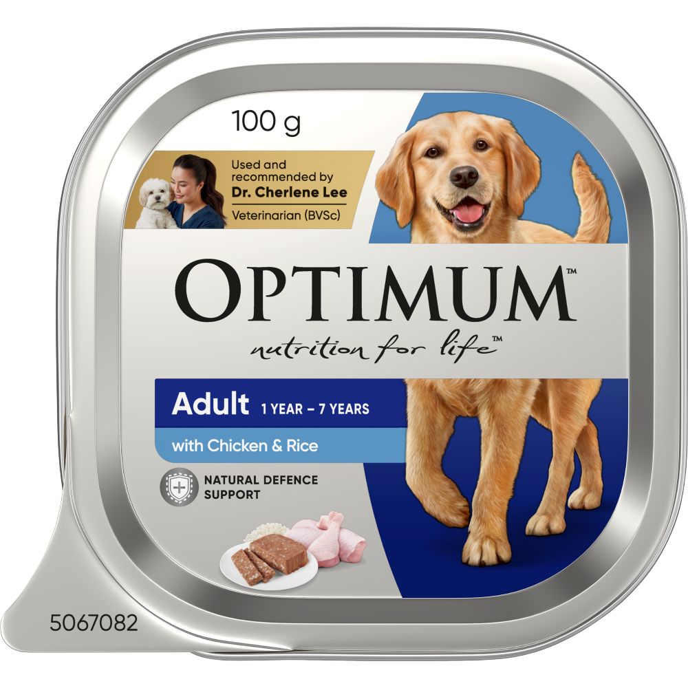 adult wet dog food with chicken and rice