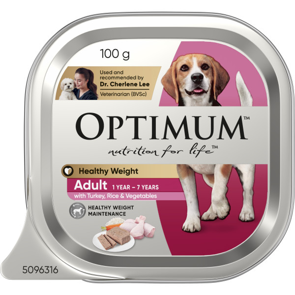 adult wet dog food for healthy weight with turkey