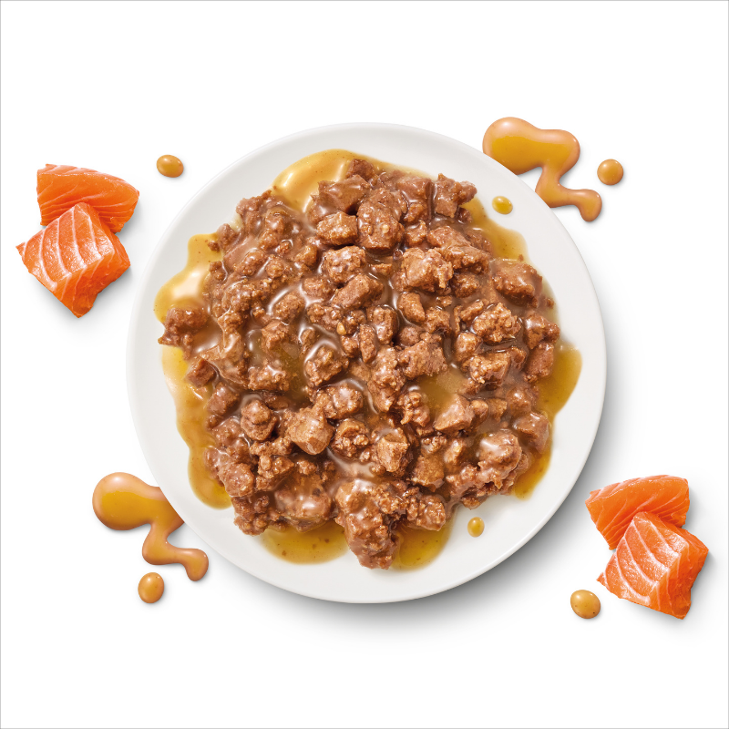 Optimum mature wet cat pouch with salmon chunks in gravy on plate