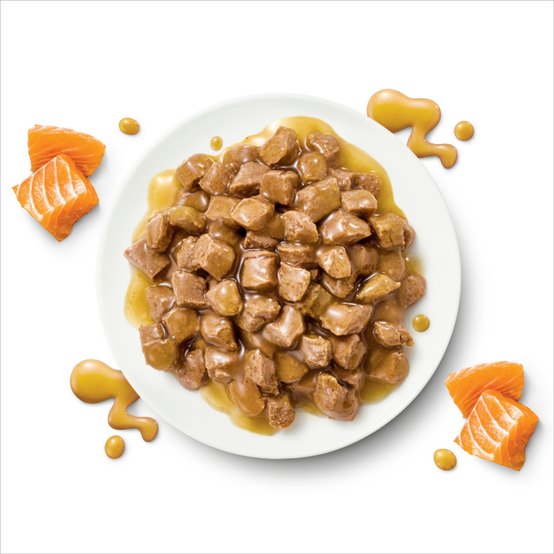 Optimum adult wet cat pouch skin and coat food on plate